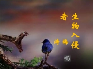（2010版）生物入侵者