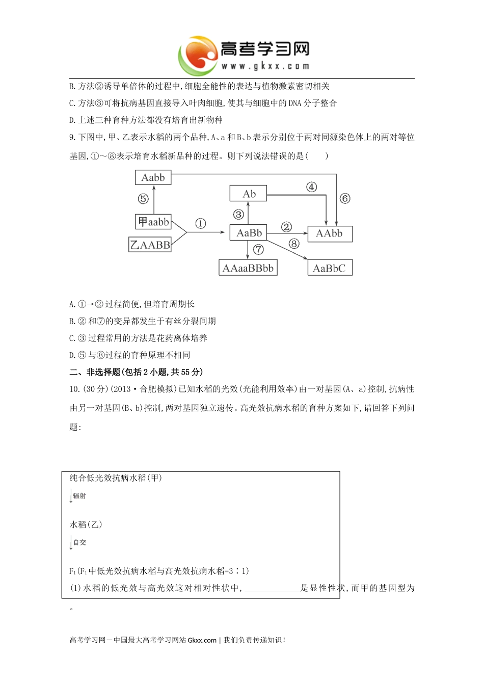 《从杂交育种到基因工程》_第3页