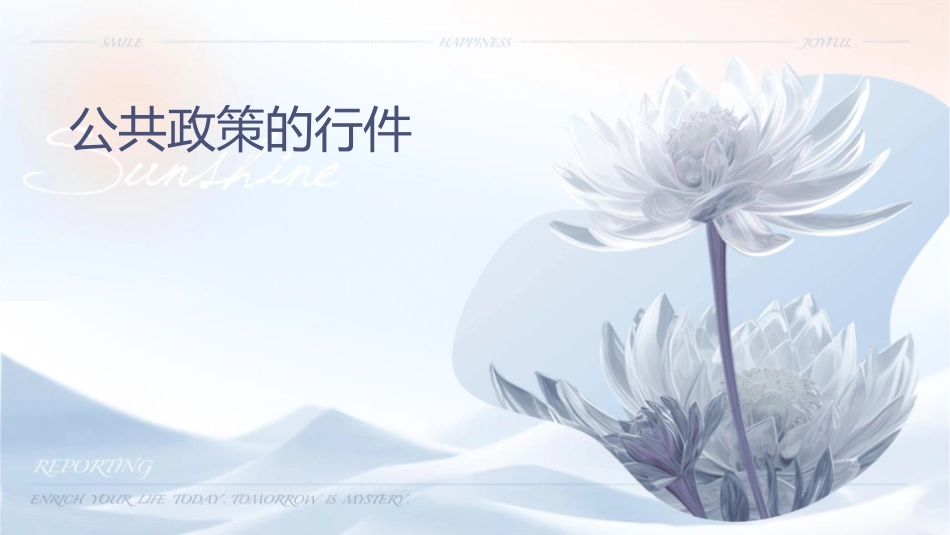 公共政策的执行课件_第1页