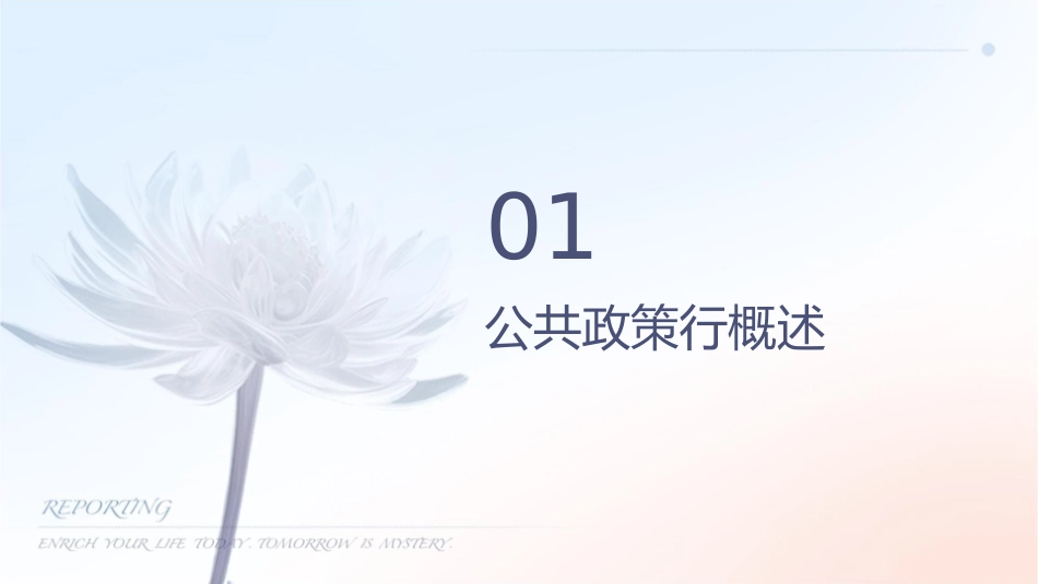 公共政策的执行课件_第3页