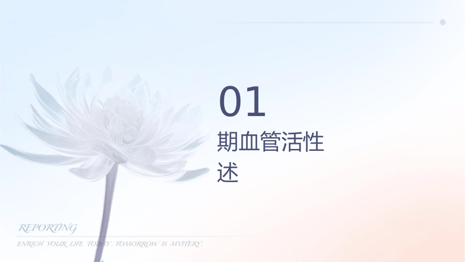 围术期血管活性药物课件_第3页