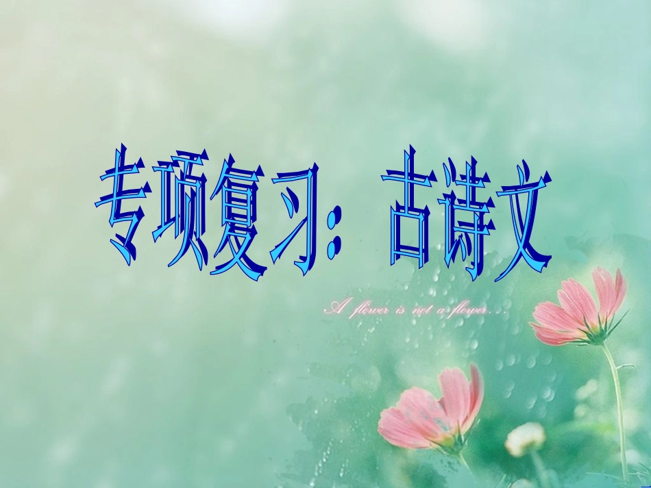 古诗专项复习_第1页