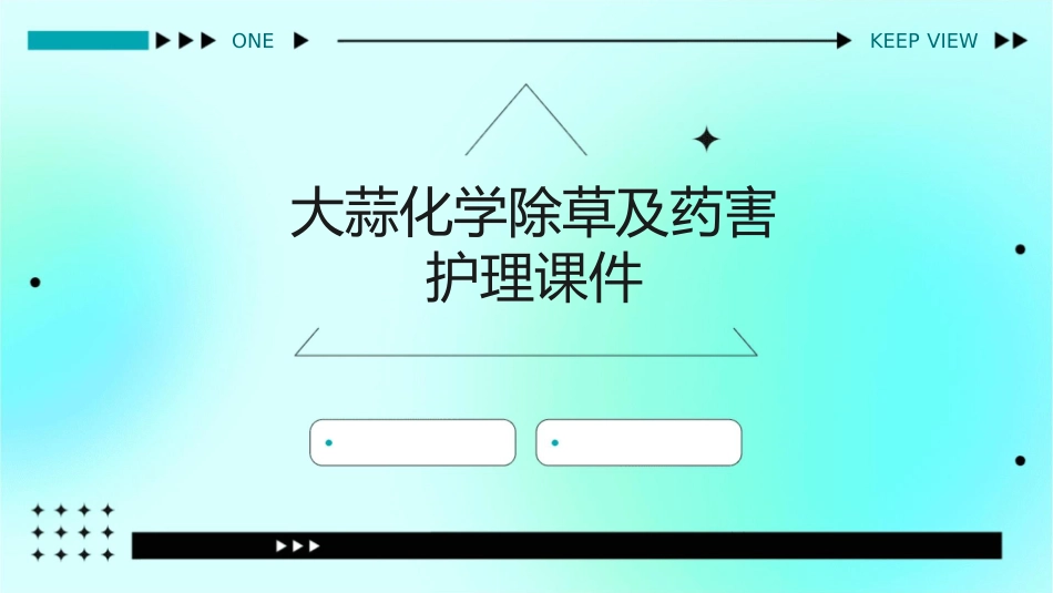 大蒜化学除草及药害护理课件_第1页