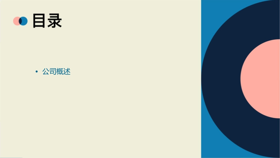 墨尼克公司产品介绍课件_第2页