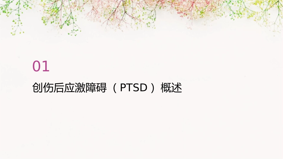 创伤后应激障碍及急性应激障碍护理课件_第3页