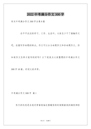 2024中考满分作文300字_57