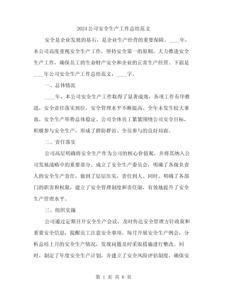 2024公司安全生产工作总结范文(二篇)