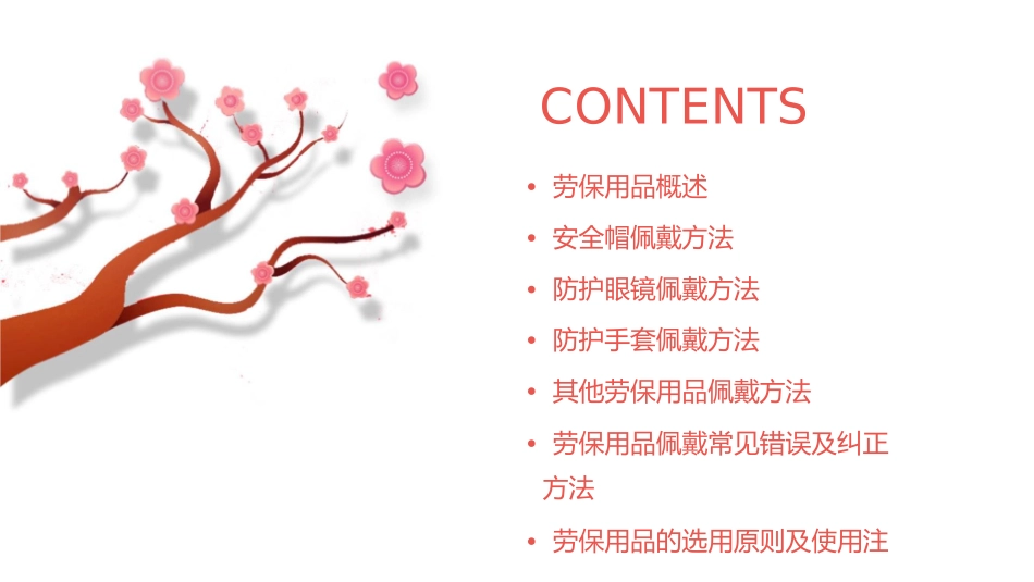 劳保用品佩戴方法课件_第2页