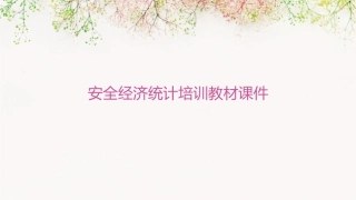 安全经济统计培训教材课件