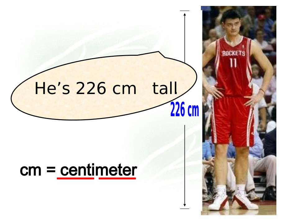 英语课件How_tall_are_you_A_learn_第3页