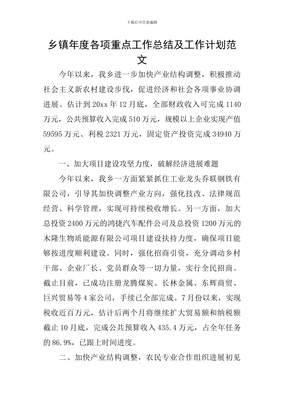 乡镇年度各项重点工作总结及工作计划范文_第1页