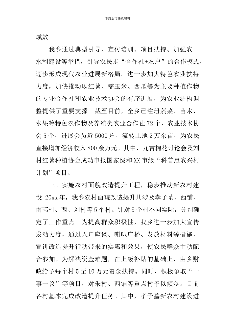 乡镇年度各项重点工作总结及工作计划范文_第2页