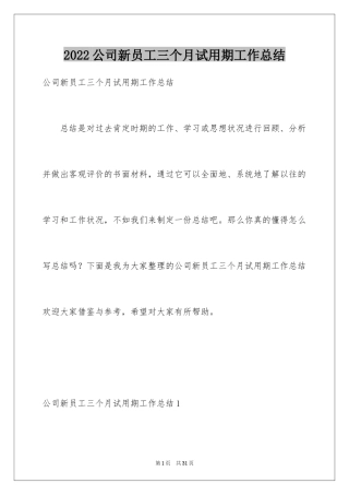 2024公司新员工三个月试用期工作总结