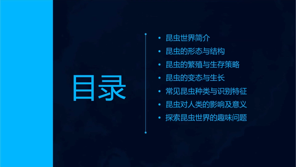 奇妙的昆虫世界课件_第2页