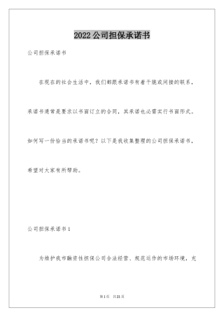 2024公司担保承诺书_5