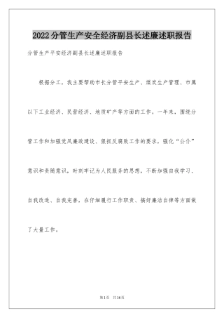 2024分管生产安全经济副县长述廉述职报告