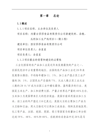 新建饮料、杂粮、瓜籽加工生产线项目可行性研究报告