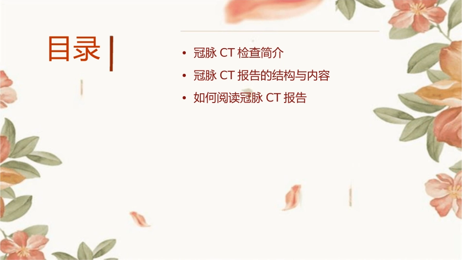 冠脉CT报告阅读方法护理课件_第2页