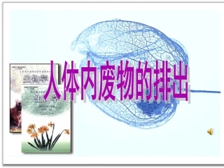 苏教版《人体内废物的排出》复习课件