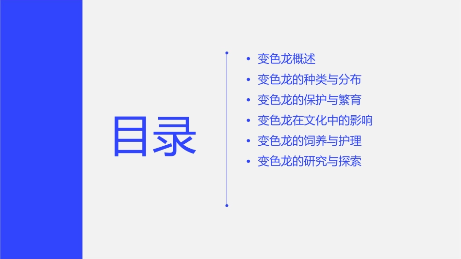 变色龙时汇总课件_第2页