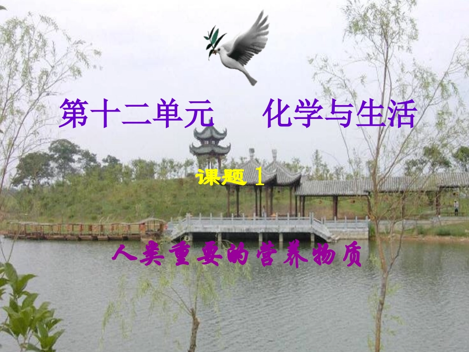 初三化学课题1_人类重要的营养物质_第1页