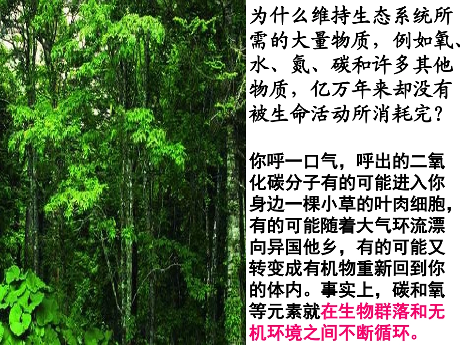 人教版必修三第5章第3节生态系统的物质循环（共45张PPT）_第3页