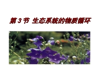 人教版必修三第5章第3节生态系统的物质循环（共45张PPT）