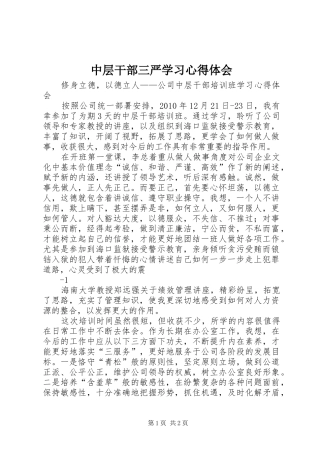 中层干部三严学习体会心得