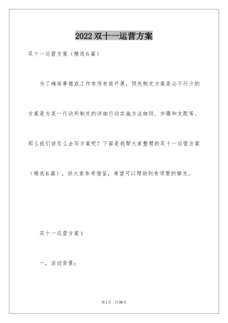 2024双十一运营方案