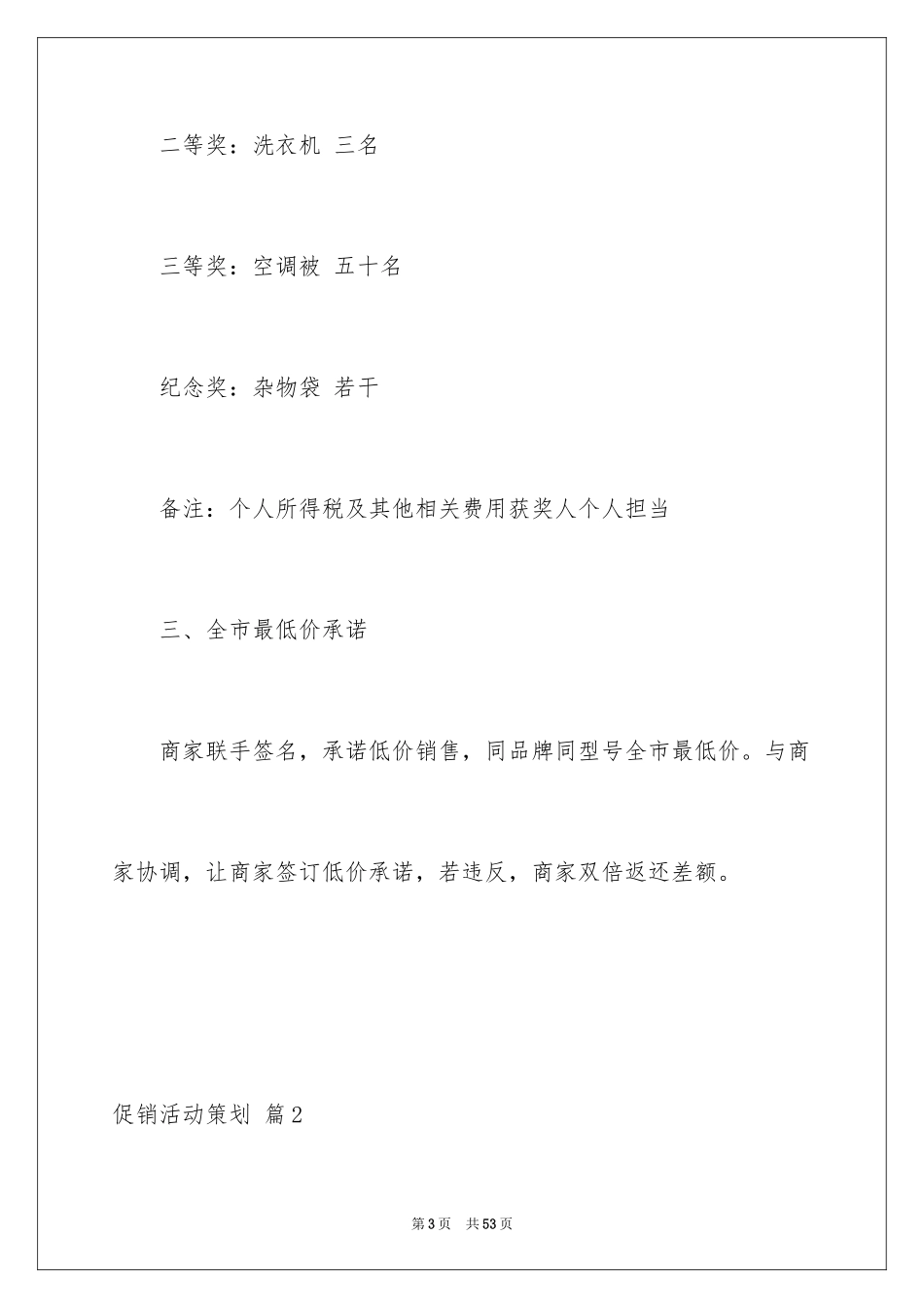 2024促销活动策划_101_第3页