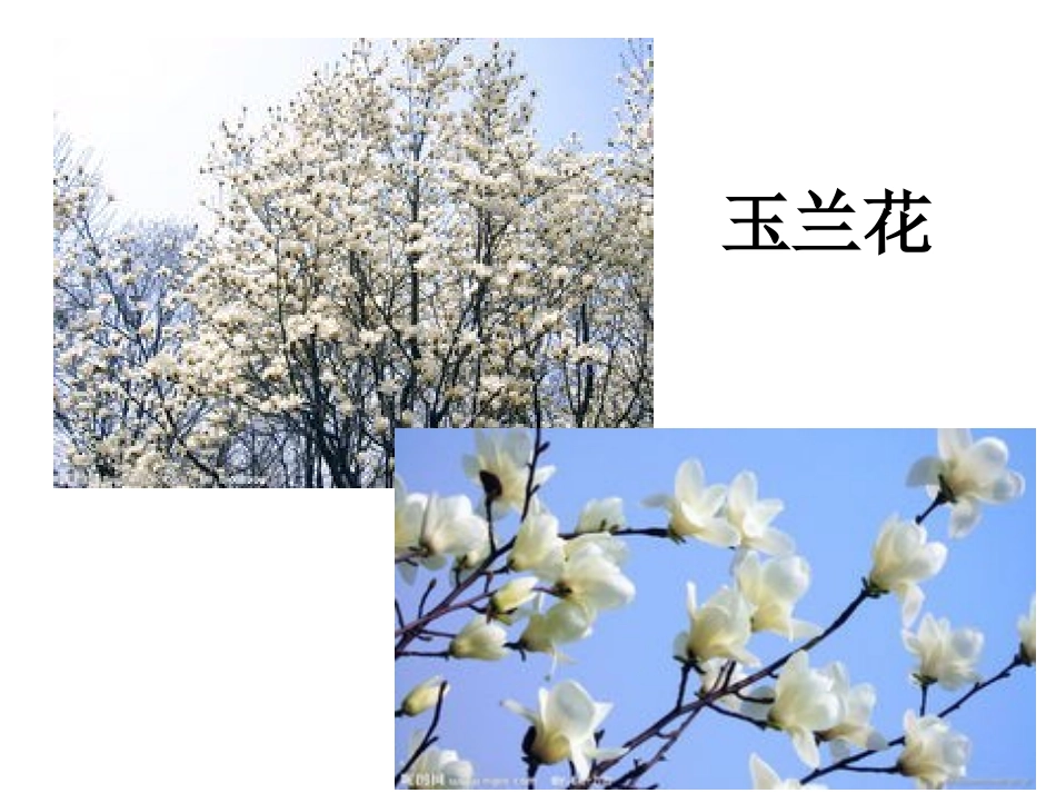 四季美景（作文教学）(1)_第2页