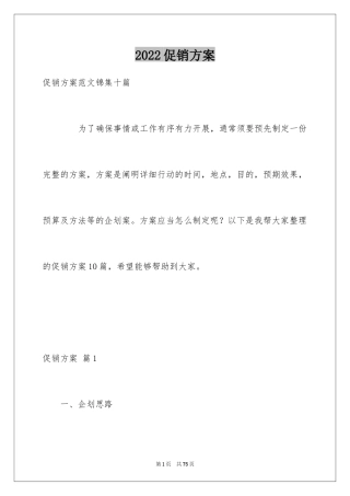 2024促销方案_19