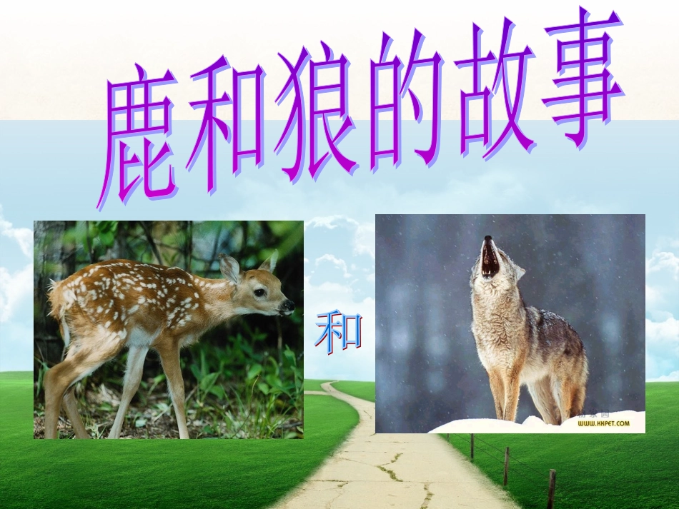 白马崾先小学杨成伟鹿和狼的故事_第2页