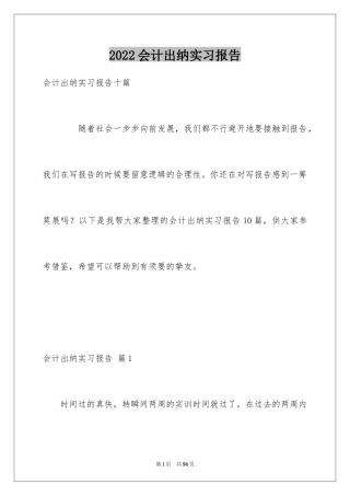 2024会计出纳实习报告_6