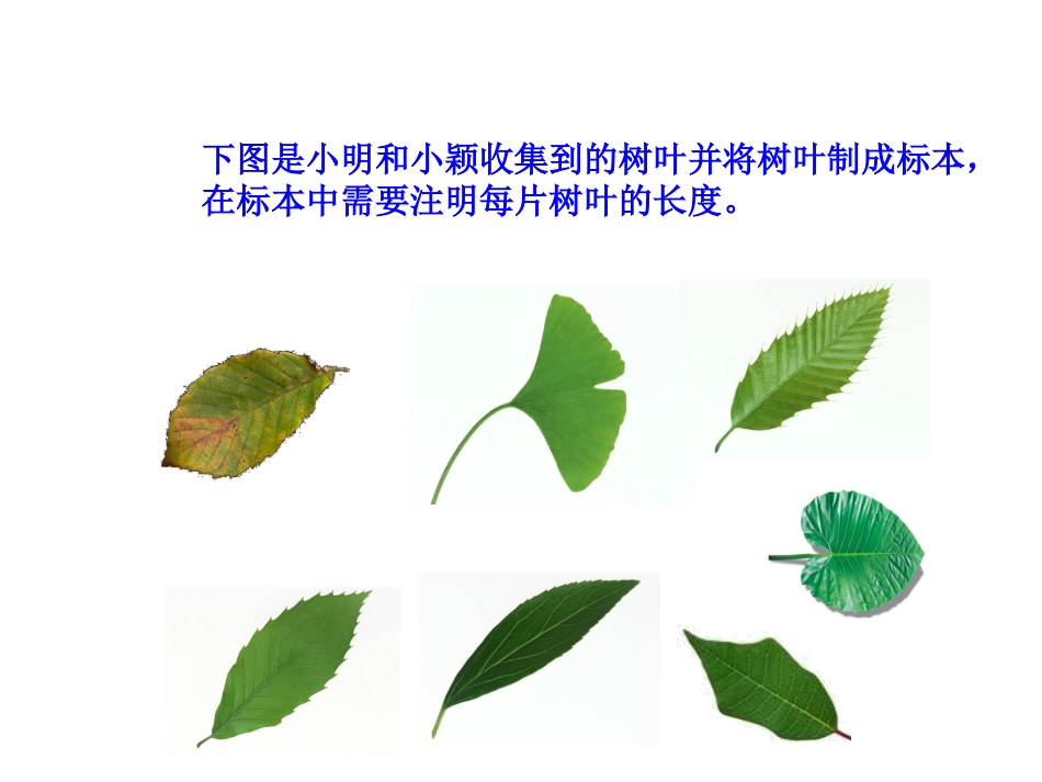 近似数与有效数字_第3页