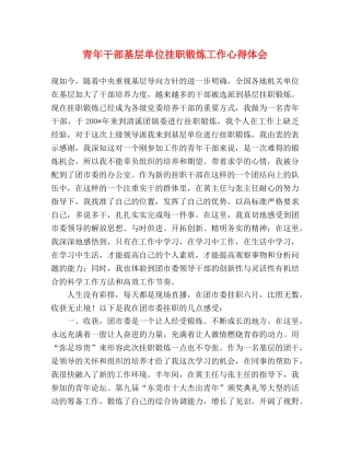青年干部基层单位挂职锻炼工作心得体会 