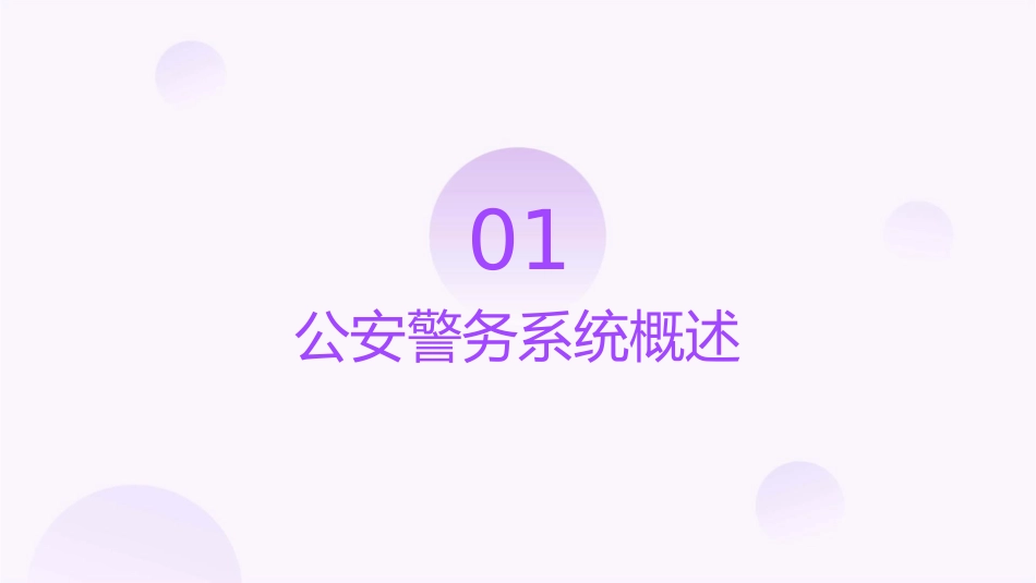 公安警务系统开发课件_第3页