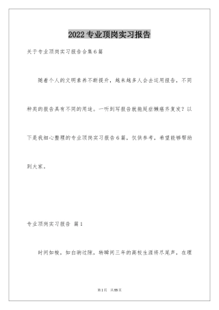 2024专业顶岗实习报告_9