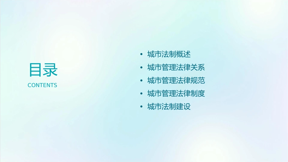 城市管理学6城市法制课件_第2页