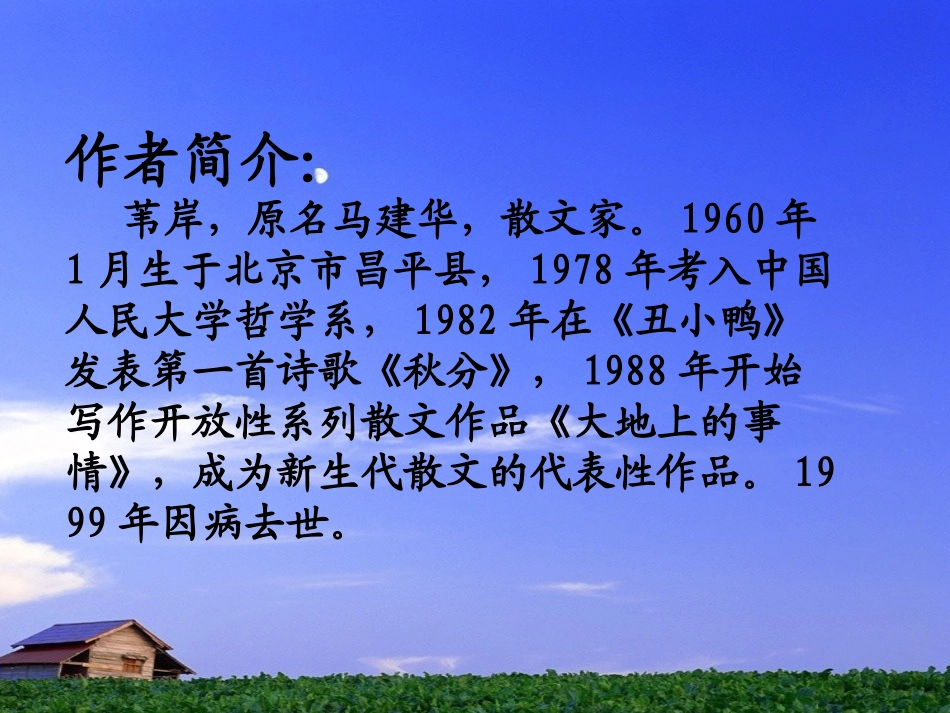 大地上的事情_第3页