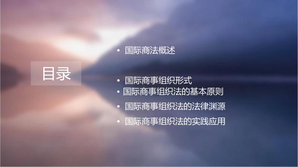 国际商法商事组织法教学课件_第2页
