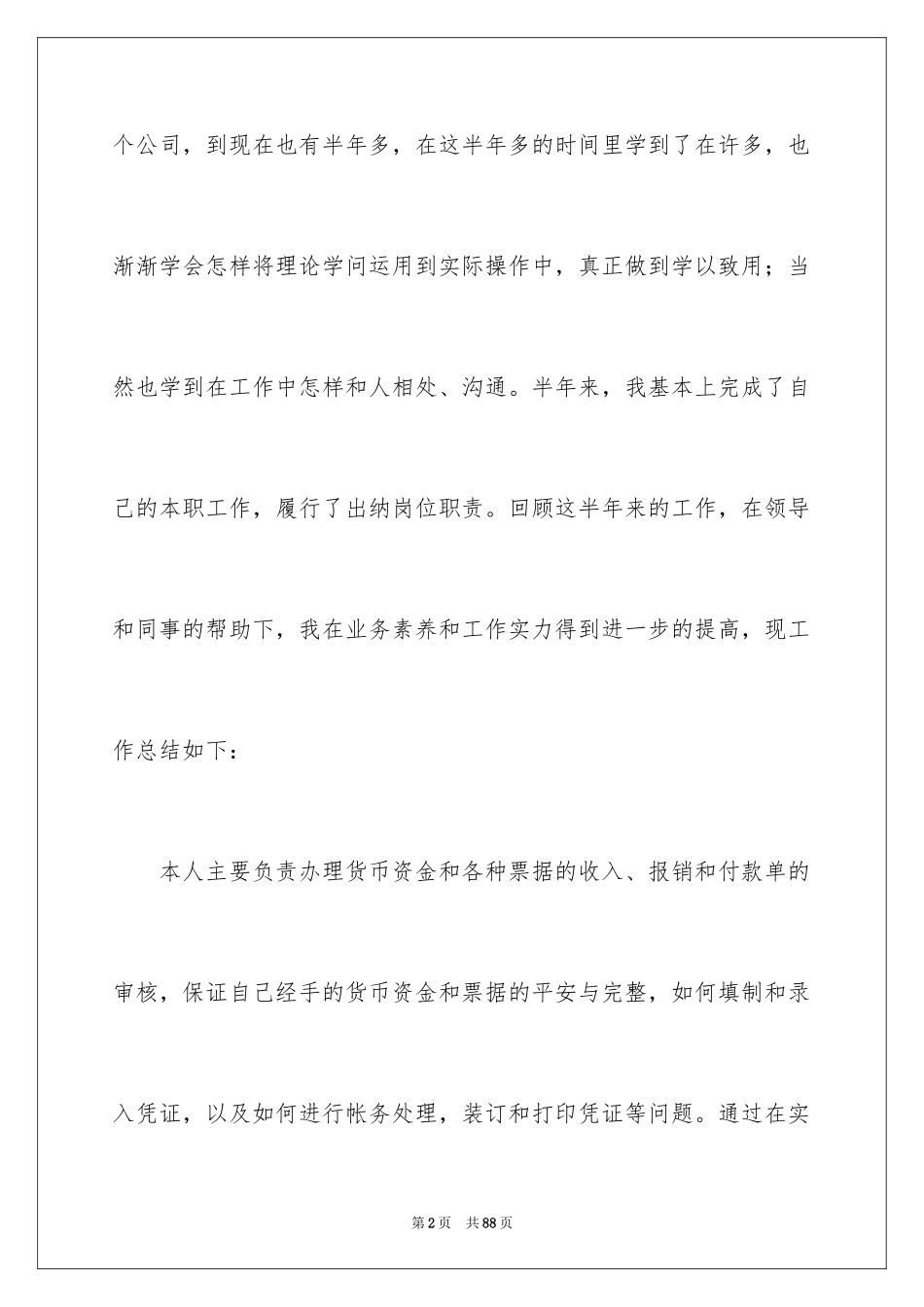 2024出纳个人工作总结_9_第2页