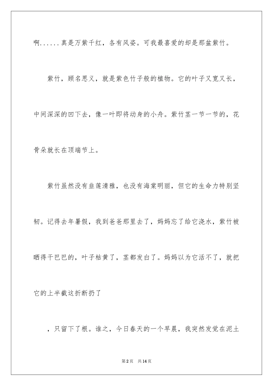 2024写景写人作文_4_第2页