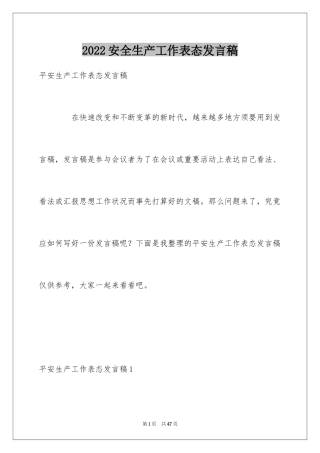 2024安全生产工作表态发言稿_4