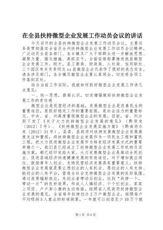 在全县扶持微型企业发展工作动员会议的讲话发言_1