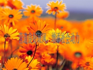 主题班会《班风》