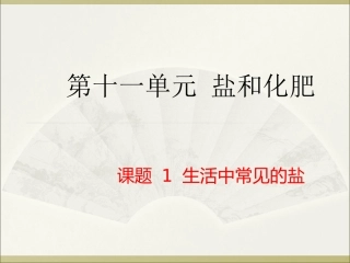九年级化学第十一单元课题1