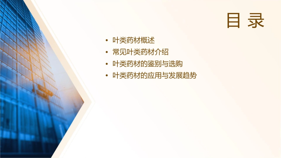 叶类药材详解课件_第2页