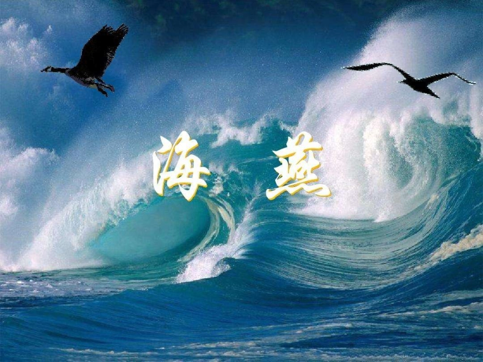 海燕教学PPT_第1页