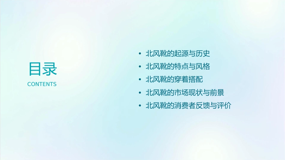 北风靴不是所有人都看得惯它的样子课件_第2页